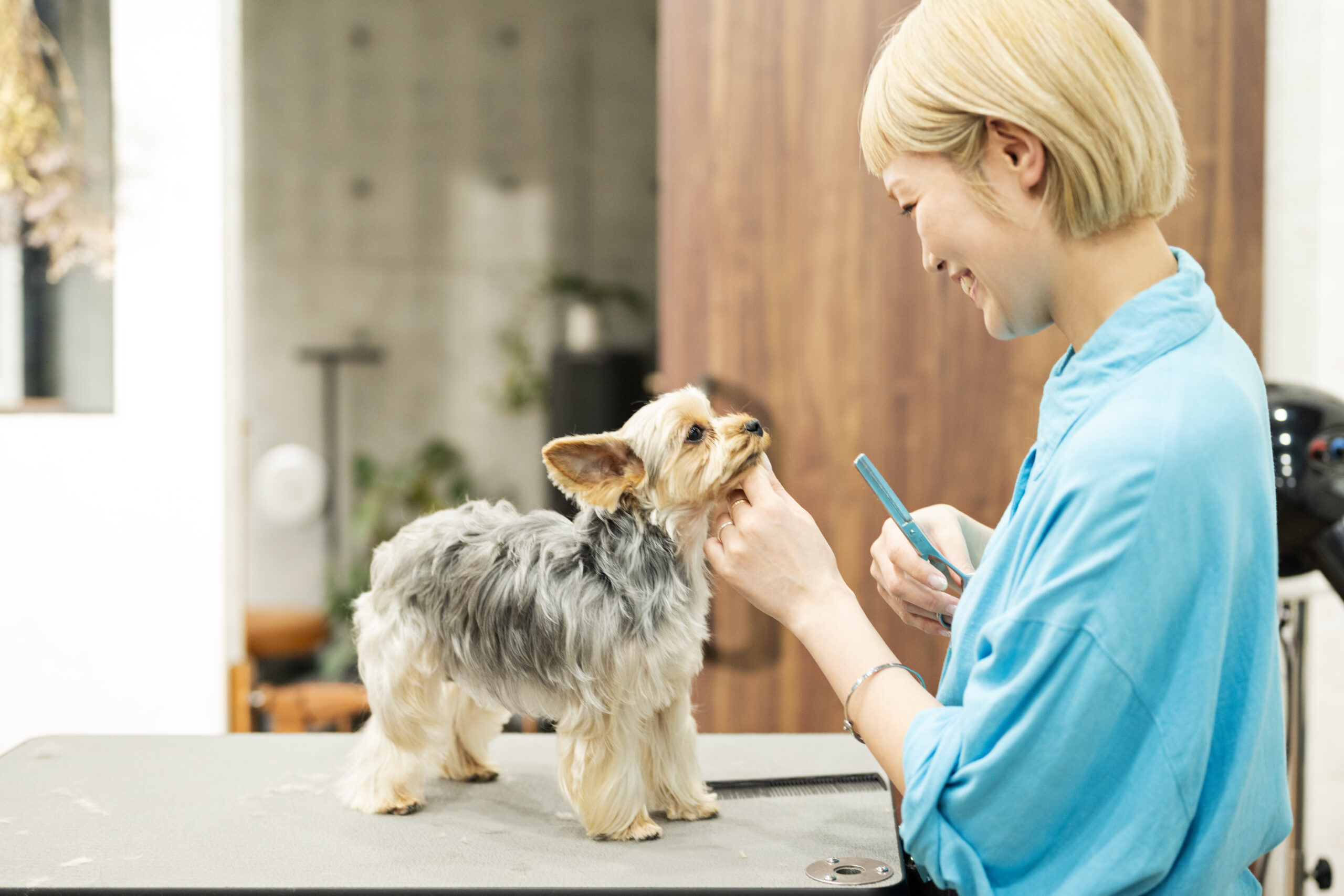 愛犬との未来を叶える実践型！
川崎トリミングスクール